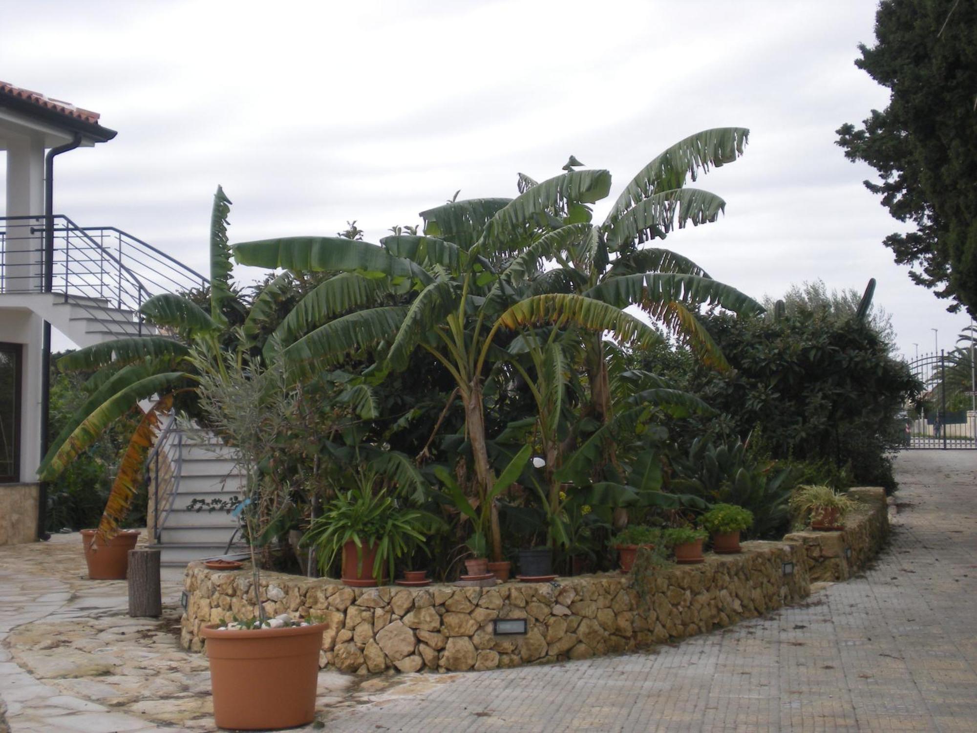 B&B Terra Marique Syracuse Exterior foto